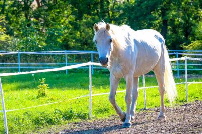 Chalupa Novákův dvůr