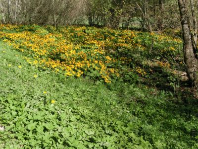 Apartmán v centru Nové Hutě