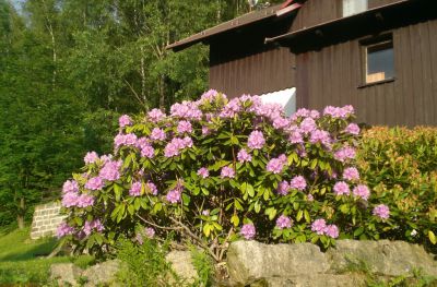 Horská chata u Martina