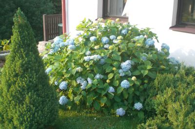 Horská chata u Martina