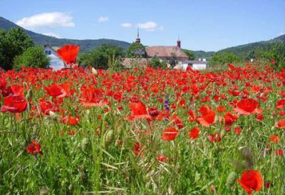 Ubytování pod LOVOŠEM