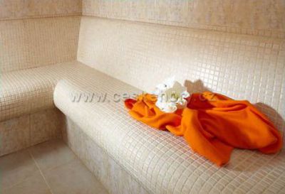 OREA Wellness Hotel Horizont ***