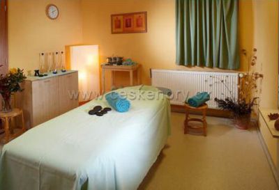 OREA Wellness Hotel Horizont ***