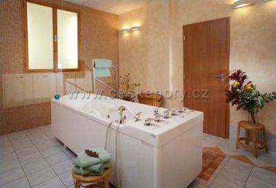 OREA Wellness Hotel Horizont ***