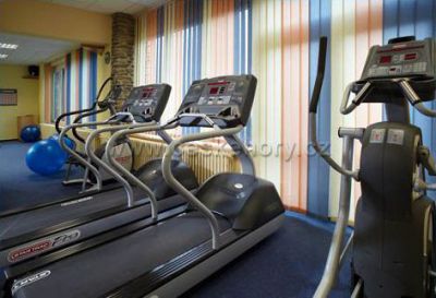 OREA Wellness Hotel Horizont ***