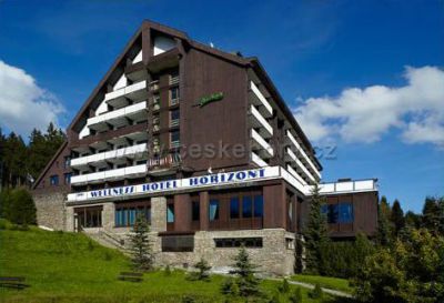 OREA Wellness Hotel Horizont ***