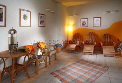 OREA Wellness Hotel Horizont ***