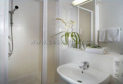 OREA Wellness Hotel Horizont ***