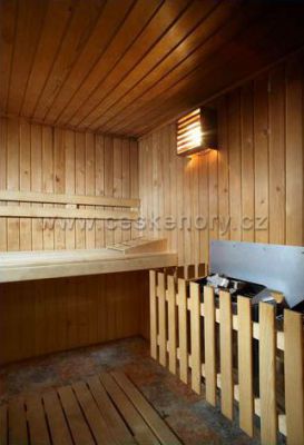 OREA Hotel Špičák ***