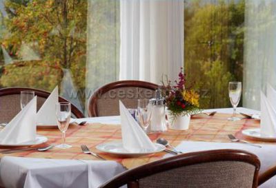 OREA Hotel Špičák ***