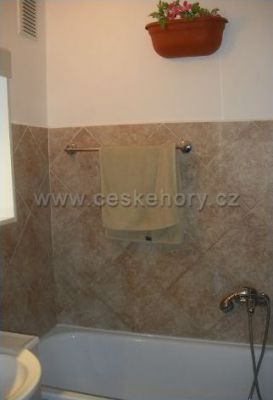 Bytový apartmán v Orlickém Záhoří čp. 18/2