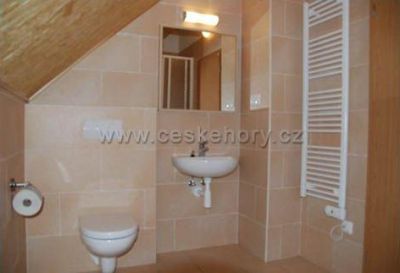 Chalupa Orlické Záhoří 77