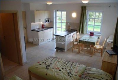 Chalupa Orlické Záhoří 77