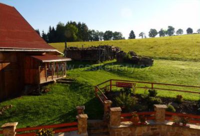 Apartmán Na samotě u lesa