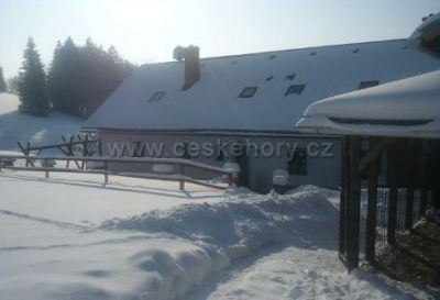 Apartmán Na samotě u lesa