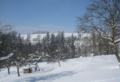 Apartmán Na samotě u lesa