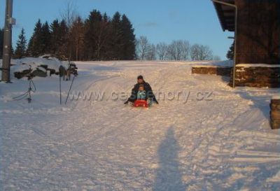 Apartmán Na samotě u lesa