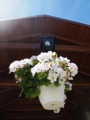 Penzion Palírna Písečná