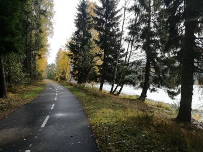 Ubytování Frymburk Paradise 1