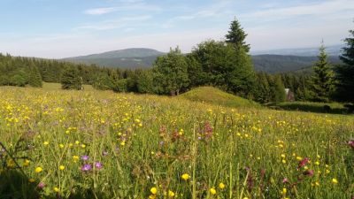 Horská chata Pencovka
