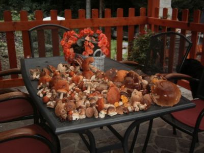 Penzion Harmonie Rohanov