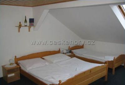 Wellness pension IVETA - Krkonoše ***