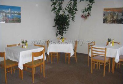 Wellness pension IVETA - Krkonoše ***