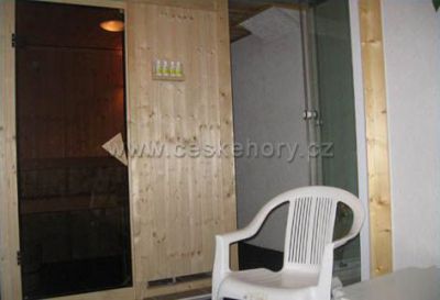 Wellness pension IVETA - Krkonoše ***