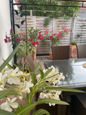 Pension Lena - dům pro rod.rekreaci