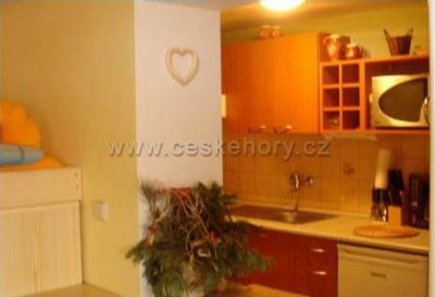 Ubytování v soukromí Vítkovice v Krkonoších 375