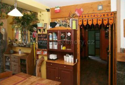 Pension Modřín Wellness