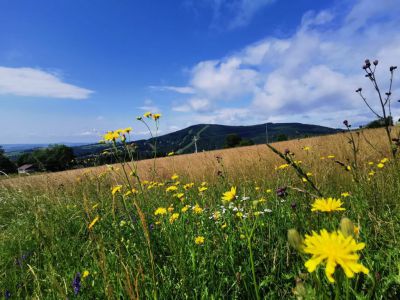 Penzion Na Vyhlídce