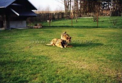 Pension René - René Tuček