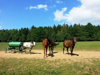 Pension U Sebastiana