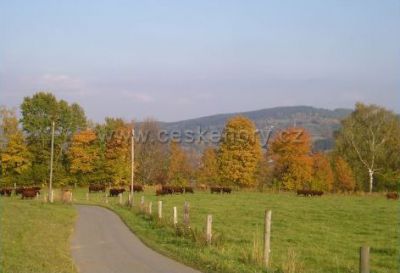 Penzion biofarma U dvou sluncí