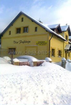 Apartmán Penzion Vila Frýdštejn