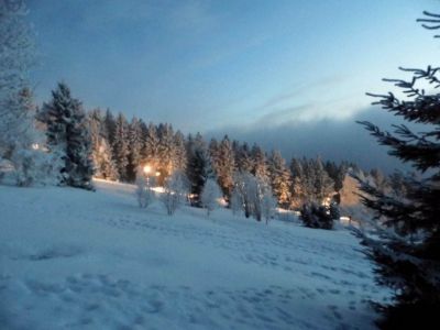 Penzion Lesní Zátiší