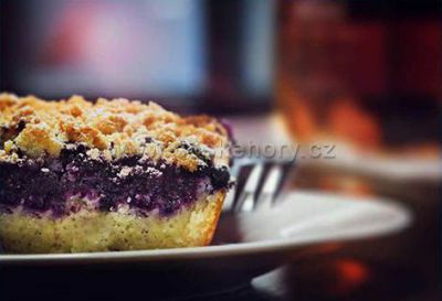 Penzion Na Začátku