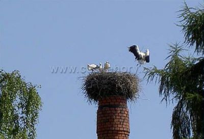 Penzion Pod komínem