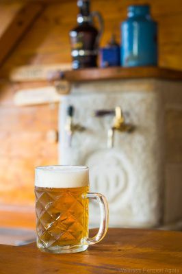 Wellness Penzion Agáta