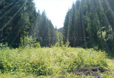 Penzion + Relax centrum Kubíčkovi