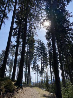 Horský penzion a bistro Čepice