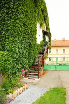 Penzion Eliška Lipno - ubytování u vody