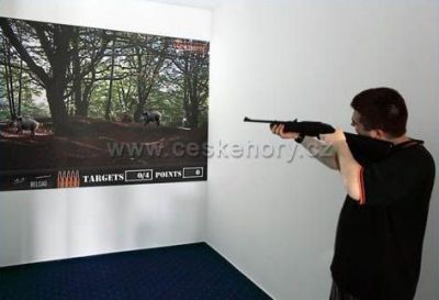 Penzion a bungalovy Harmonie