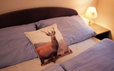 Penzion Pod Ždánovem