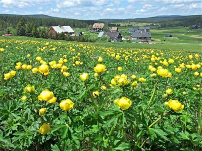 Jizerka - chata Sklárna