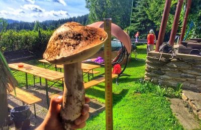 Chalupa Stará Škola