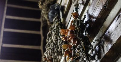 Chalupa Stará Škola