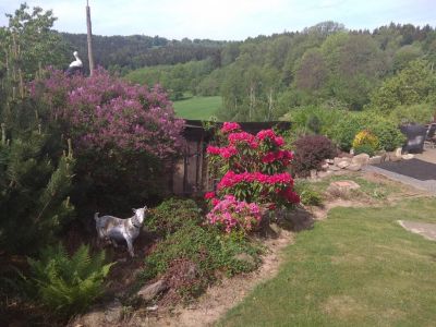 Rodinný penzion Světlá - Český ráj