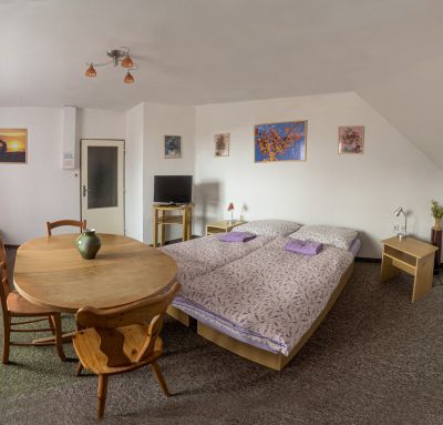 Pension u Trojanů ***